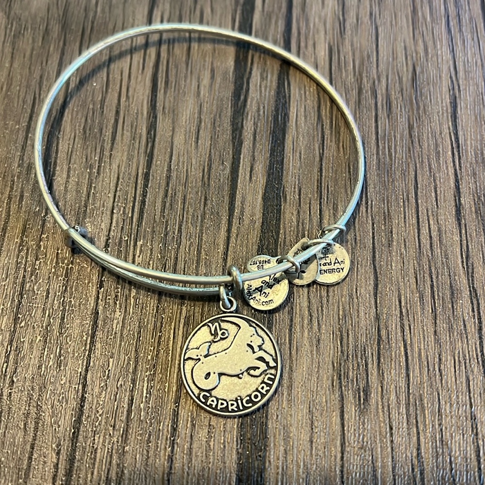 Alex and Ani Capricorn Silver Bracelet